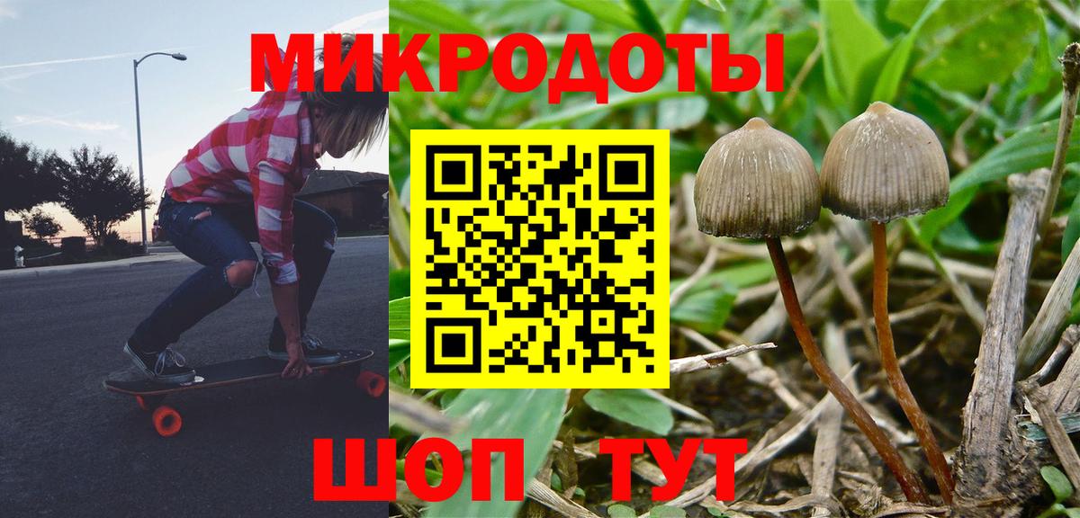 Псилоцибиновые грибы Psilocybe Южноуральск