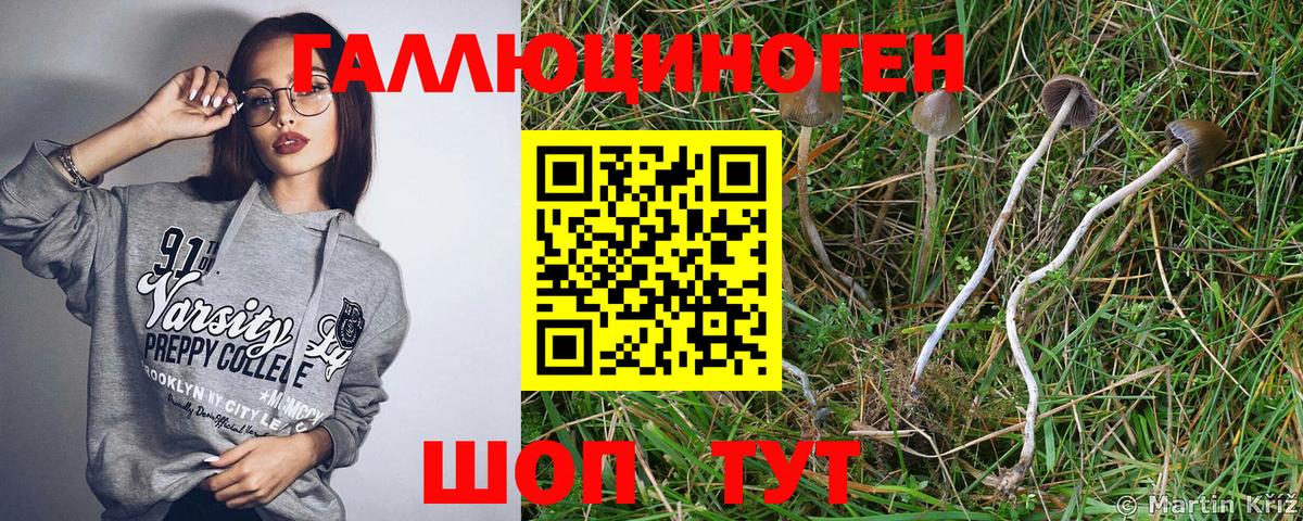 Псилоцибиновые грибы Psilocybe  Галлюциногенные грибы Psilocybe  Южноуральск  сколько стоит  Вход с VPN 